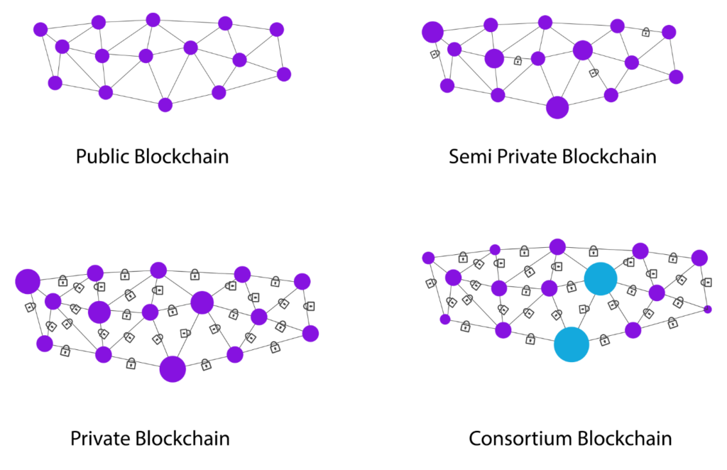 What are the types of blockchain networks?